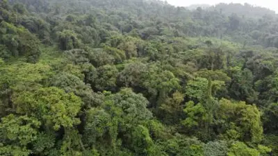 Koundi1